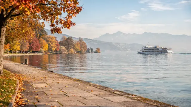 Herbstlicher Blick auf den Bodensee mit Uferpromenade, buntem Laub und See im Hintergrund
