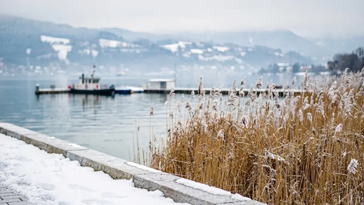 Winter am Bodensee mit verschneiter Uferpromenade, ruhigem See und winterlicher Landschaft für den Winterurlaub.