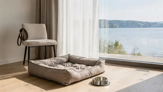 Hundefreundliches Hotel am Bodensee mit Hundebett und Wassernapf im Zimmer